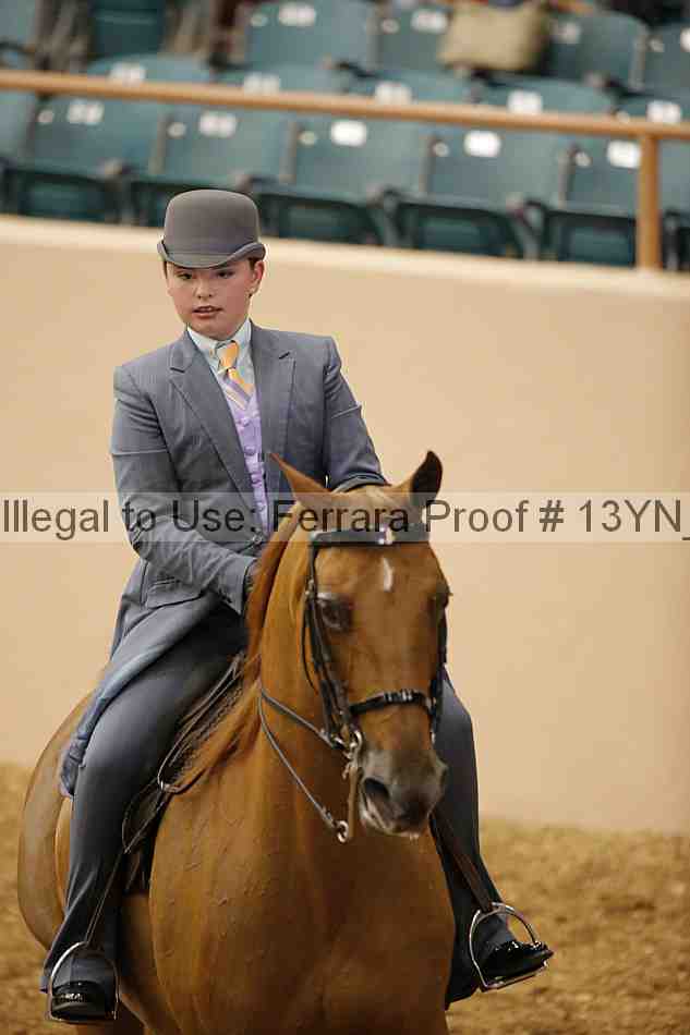 Proof 13yn_01481