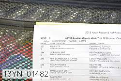 13yn_01482 proof