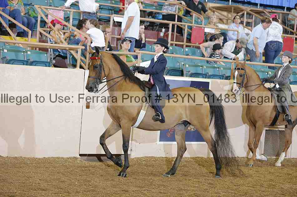 Proof 13yn_01483