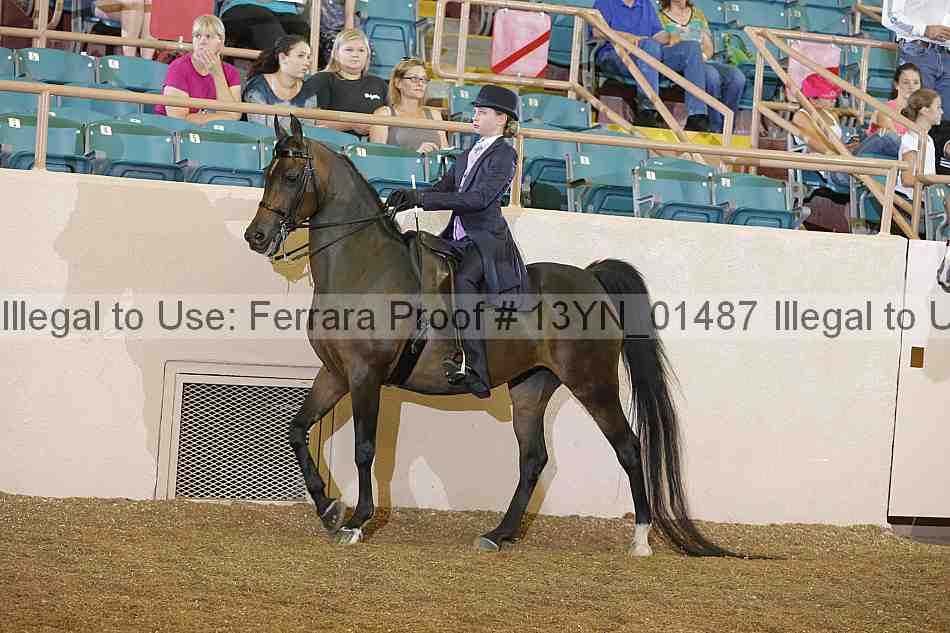 Proof 13yn_01487