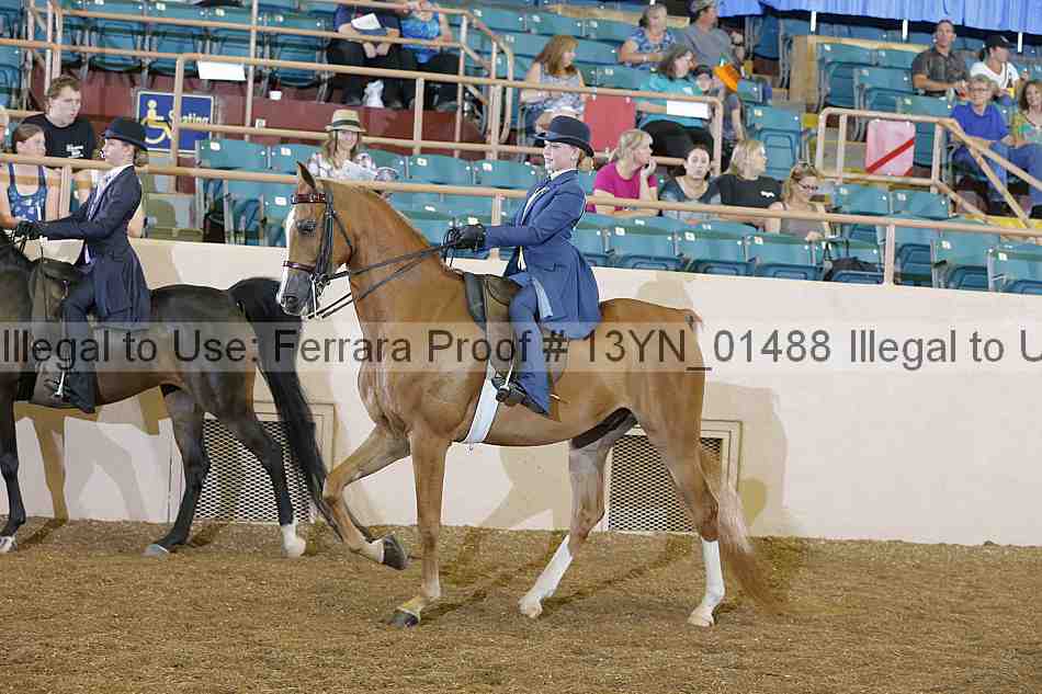 Proof 13yn_01488