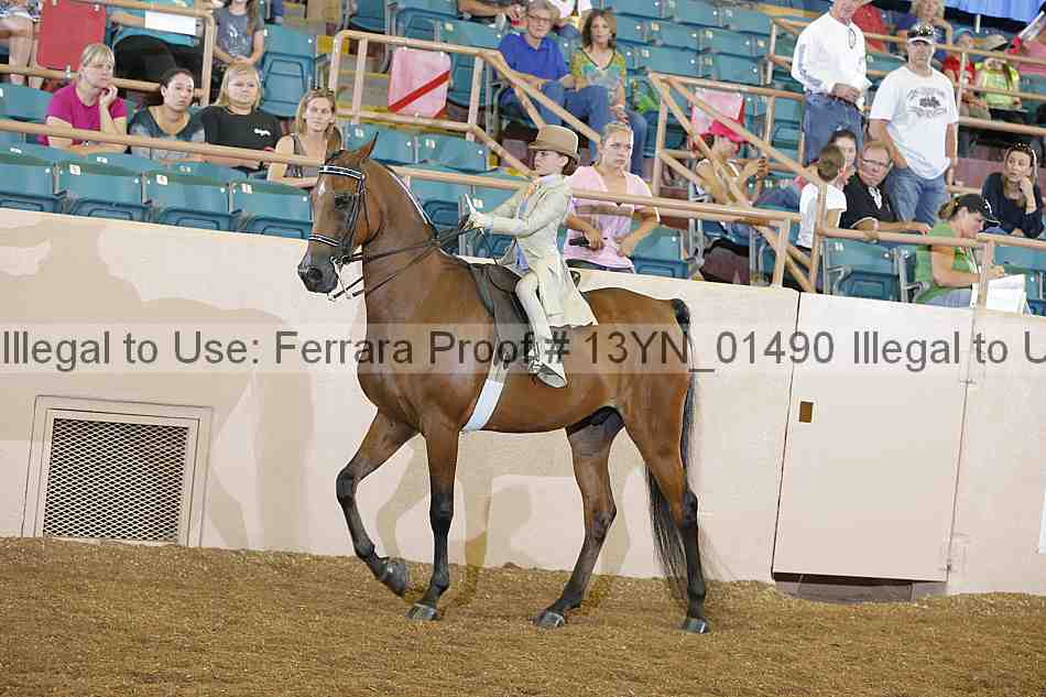 Proof 13yn_01490