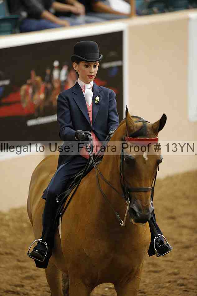 Proof 13yn_01493