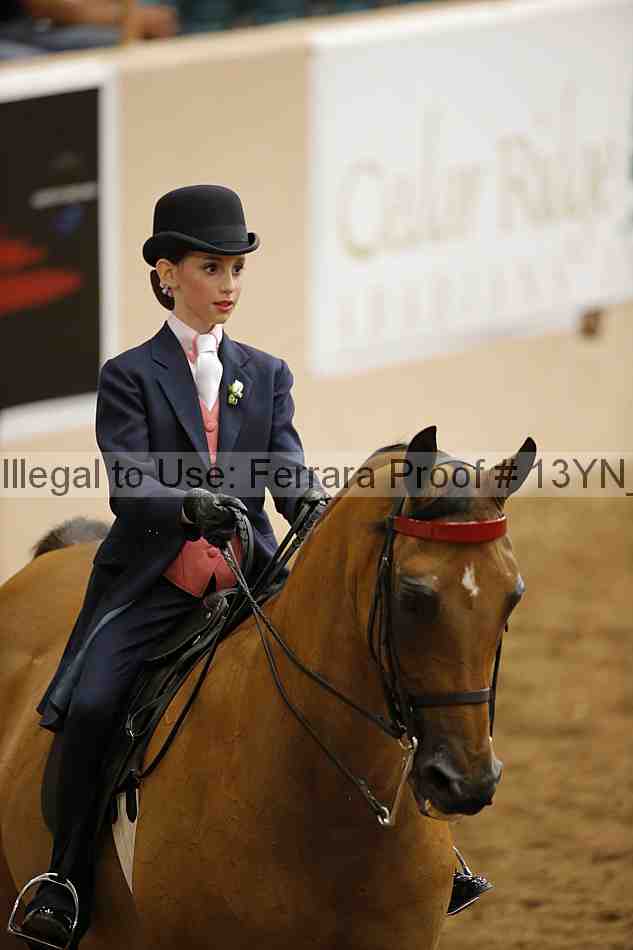 Proof 13yn_01494