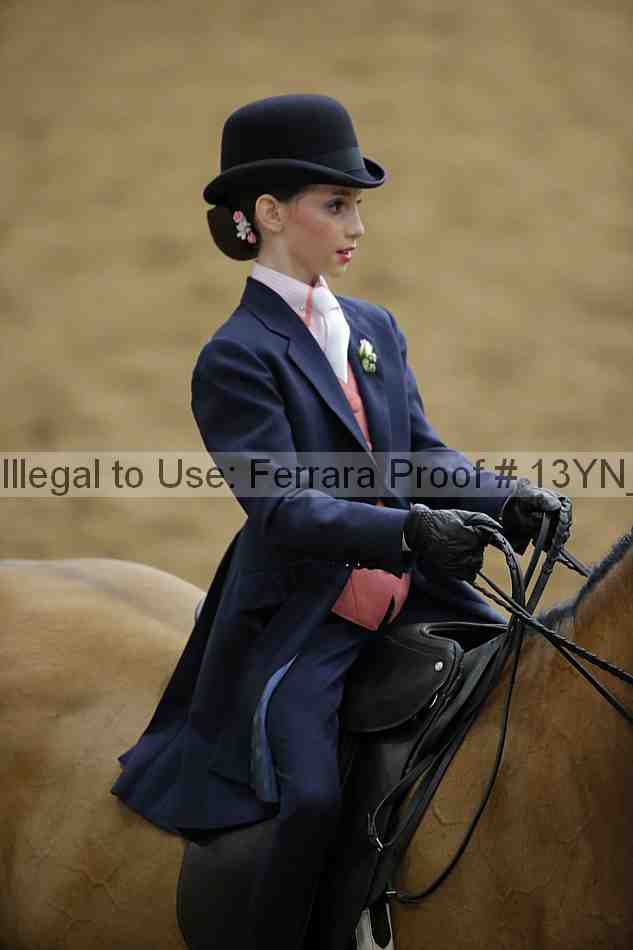 Proof 13yn_01495