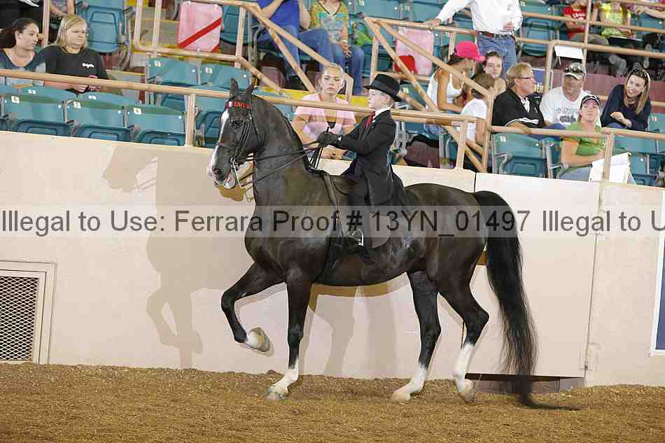 Proof 13yn_01497