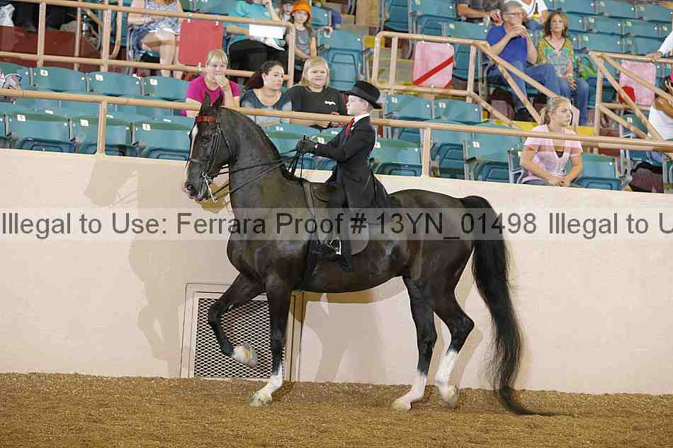 Proof 13yn_01498