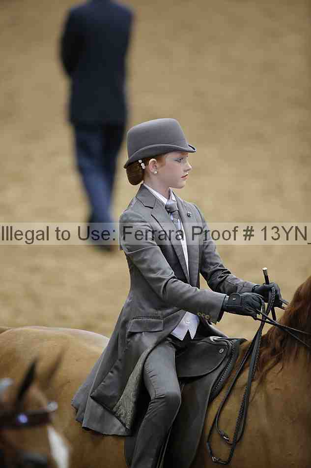 Proof 13yn_01502