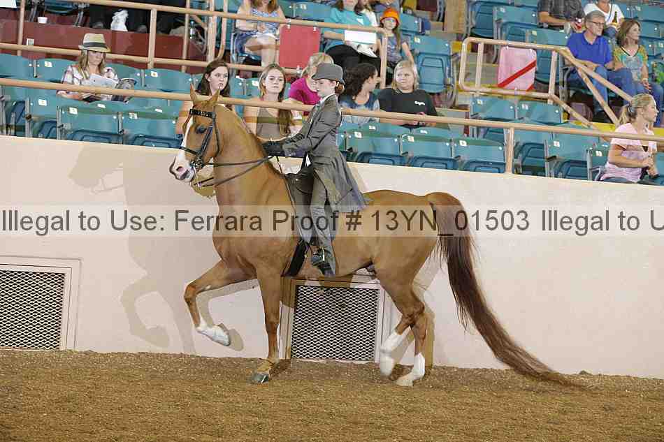 Proof 13yn_01503