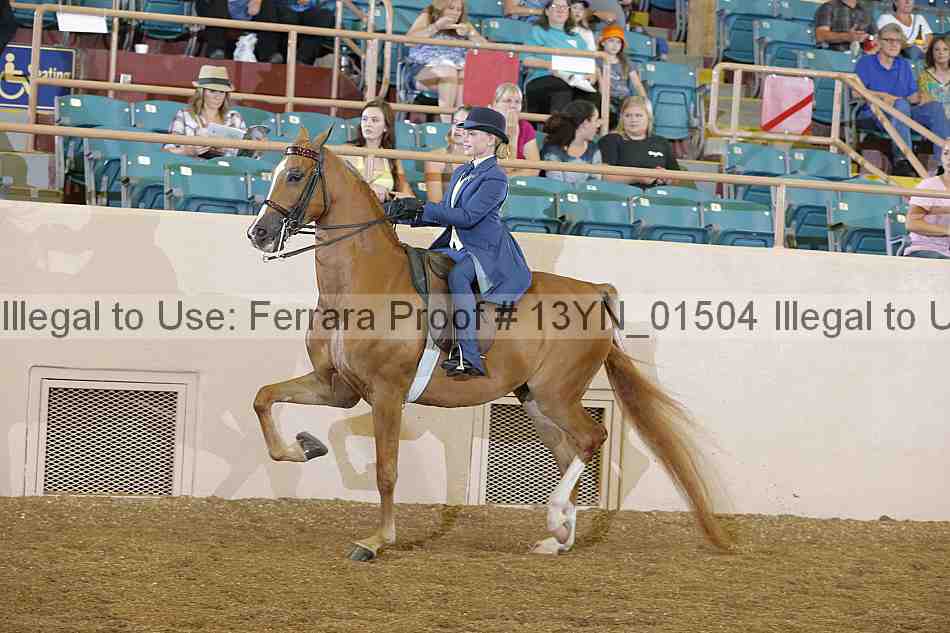 Proof 13yn_01504