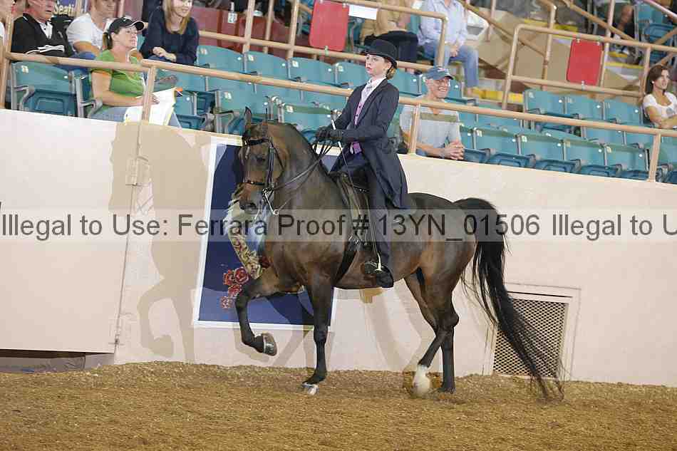 Proof 13yn_01506