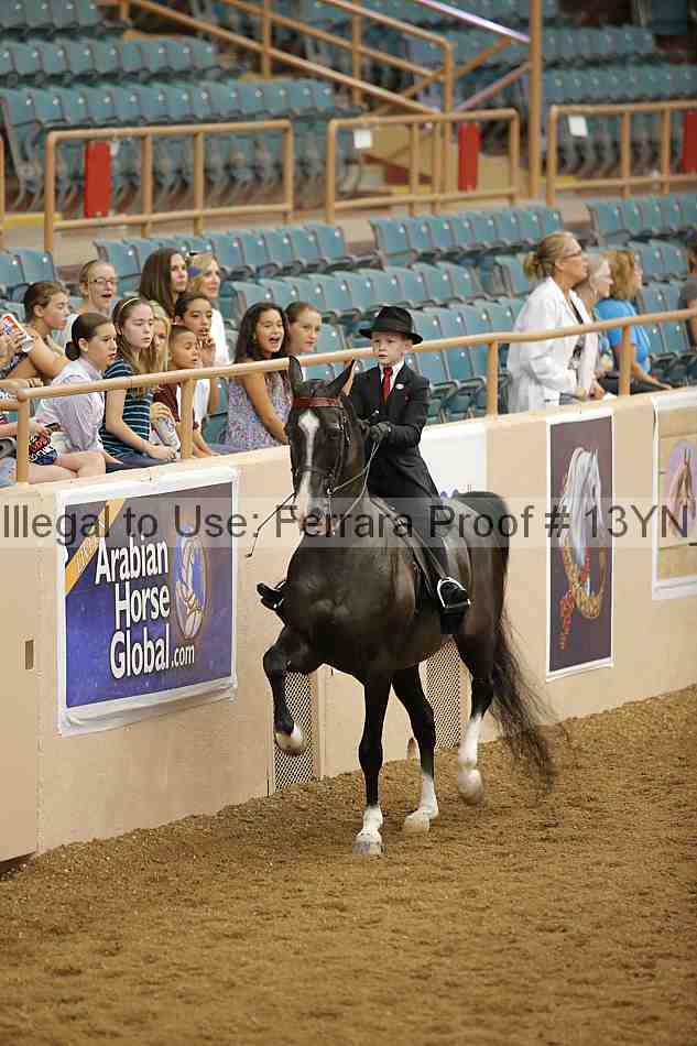 Proof 13yn_01507