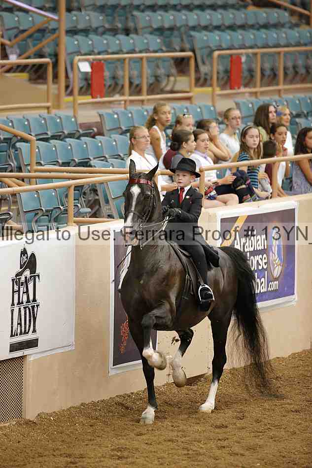 Proof 13yn_01508
