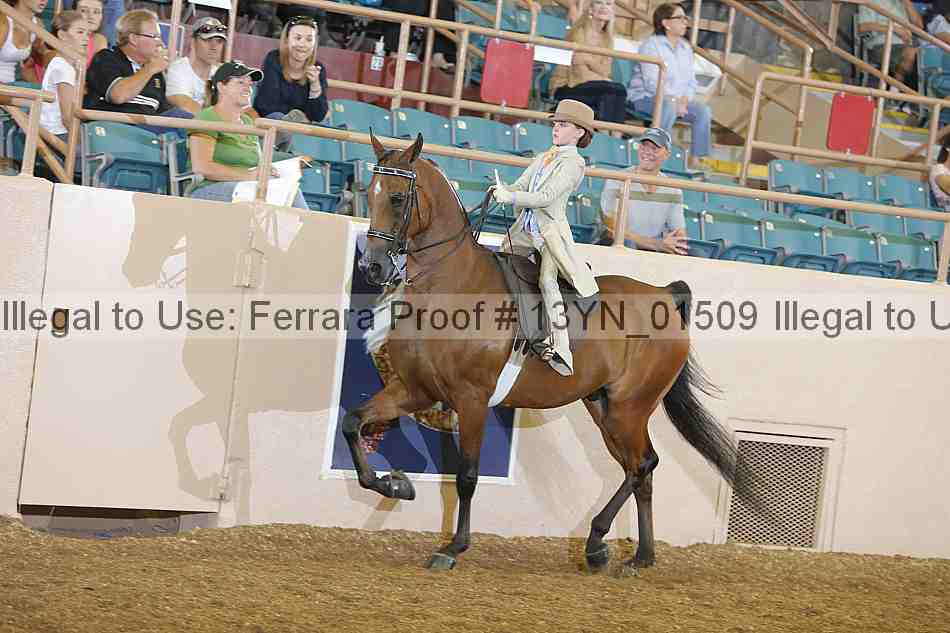Proof 13yn_01509
