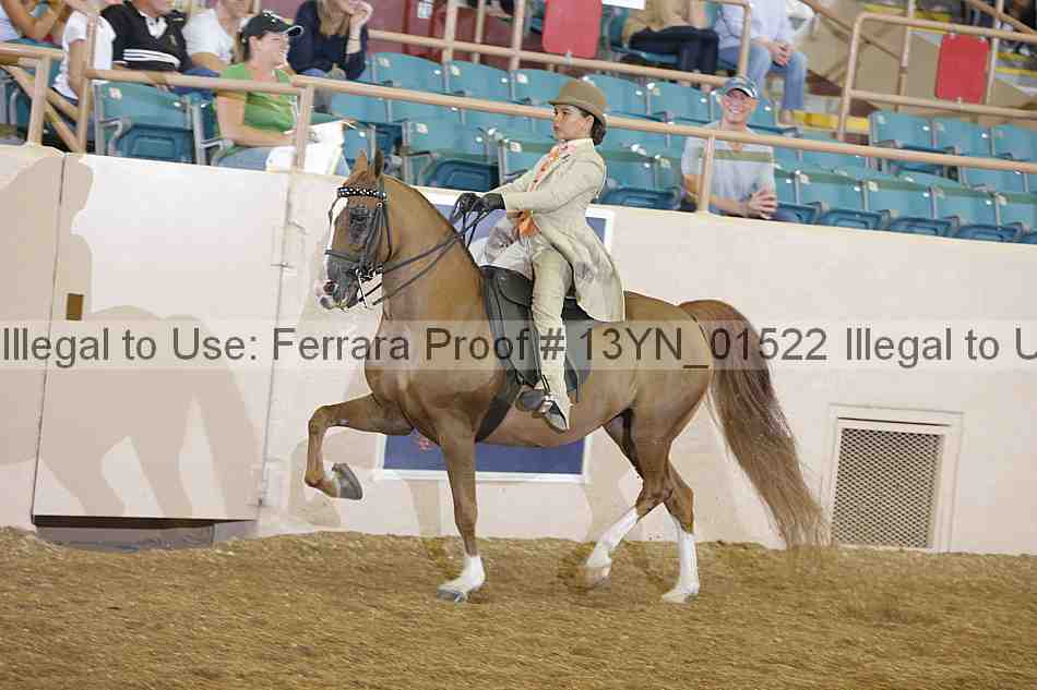 Proof 13yn_01522