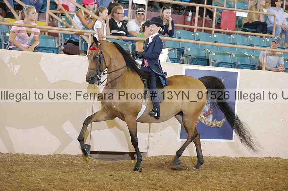 Proof 13yn_01526