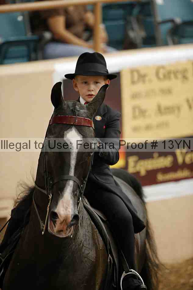 Proof 13yn_01537