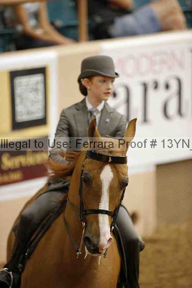 Proof 13yn_01542