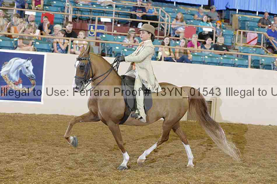Proof 13yn_01543