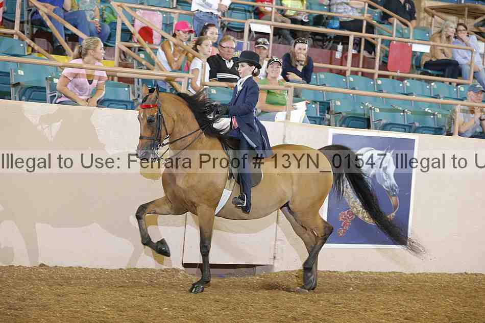 Proof 13yn_01547