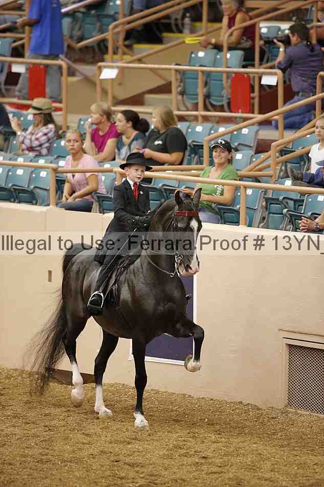 Proof 13yn_01550