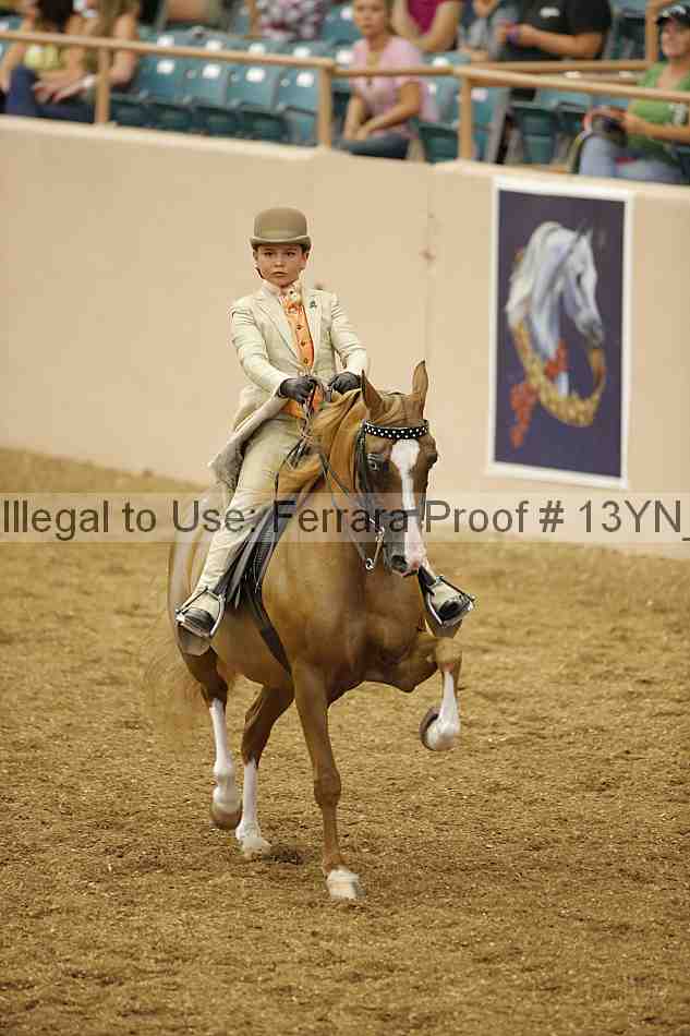 Proof 13yn_01551