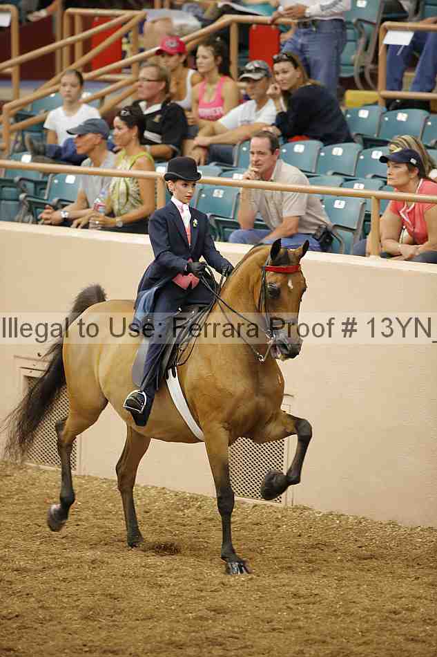 Proof 13yn_01555