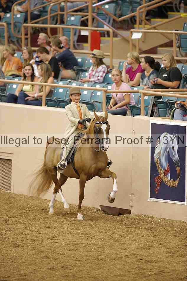 Proof 13yn_01557