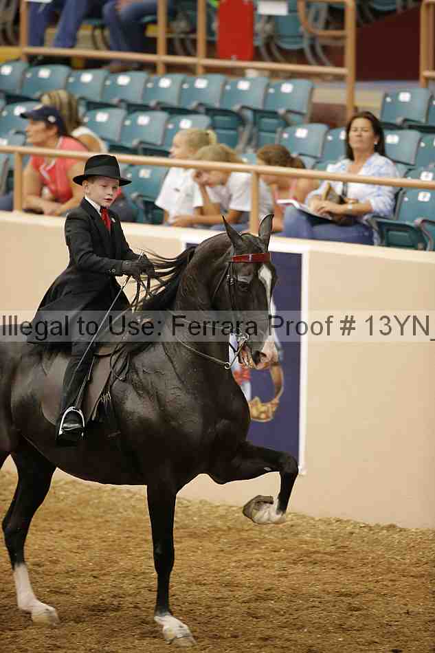 Proof 13yn_01560