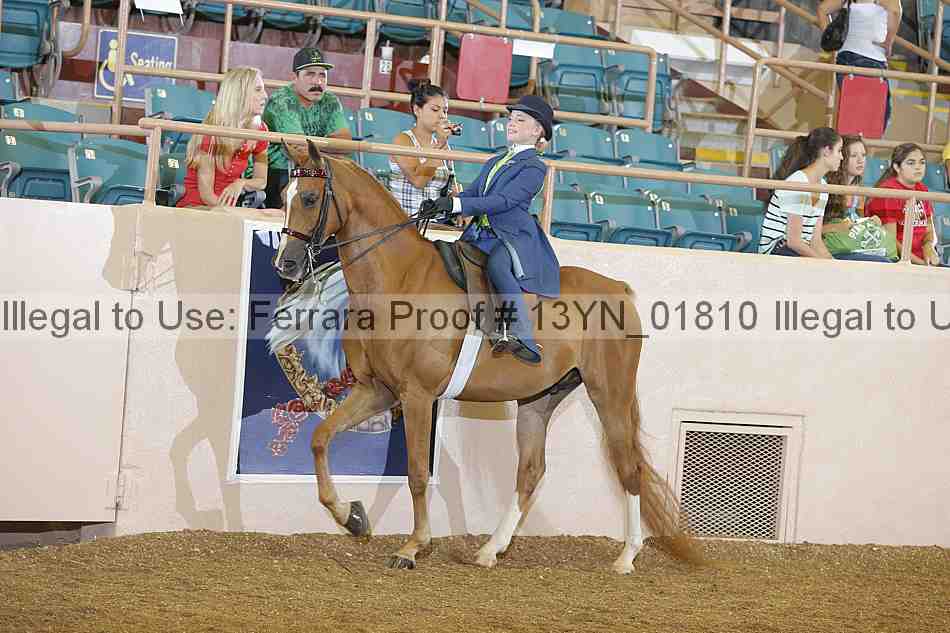 Proof 13yn_01810