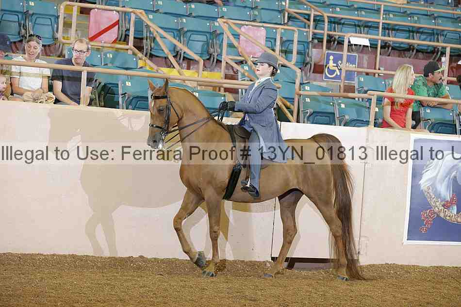 Proof 13yn_01813
