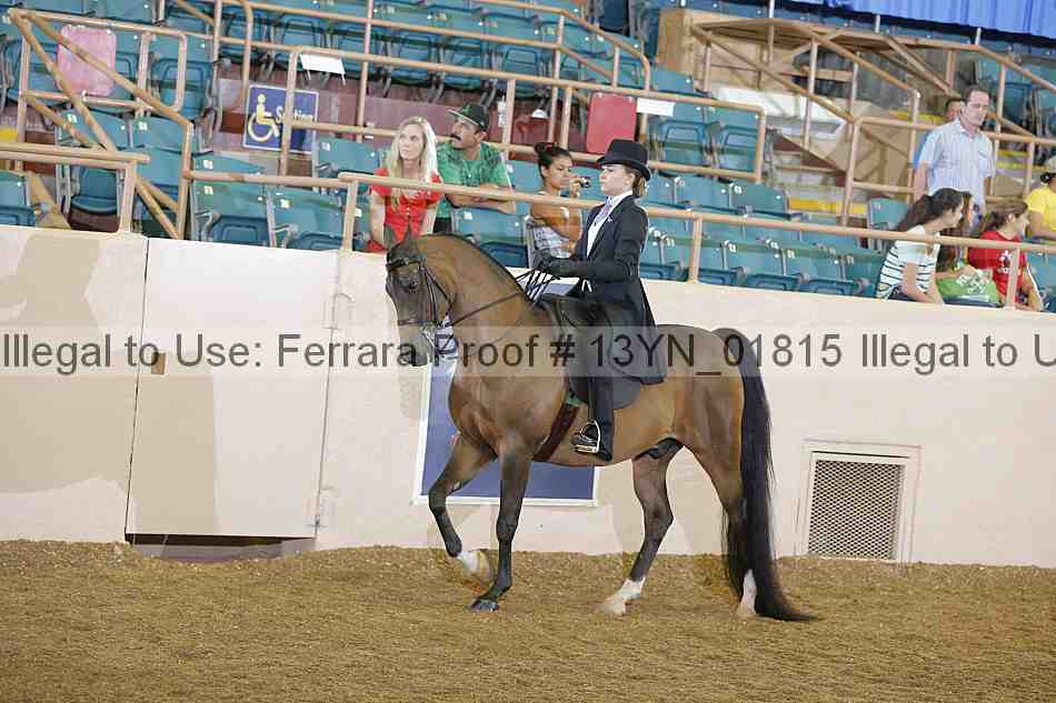 Proof 13yn_01815