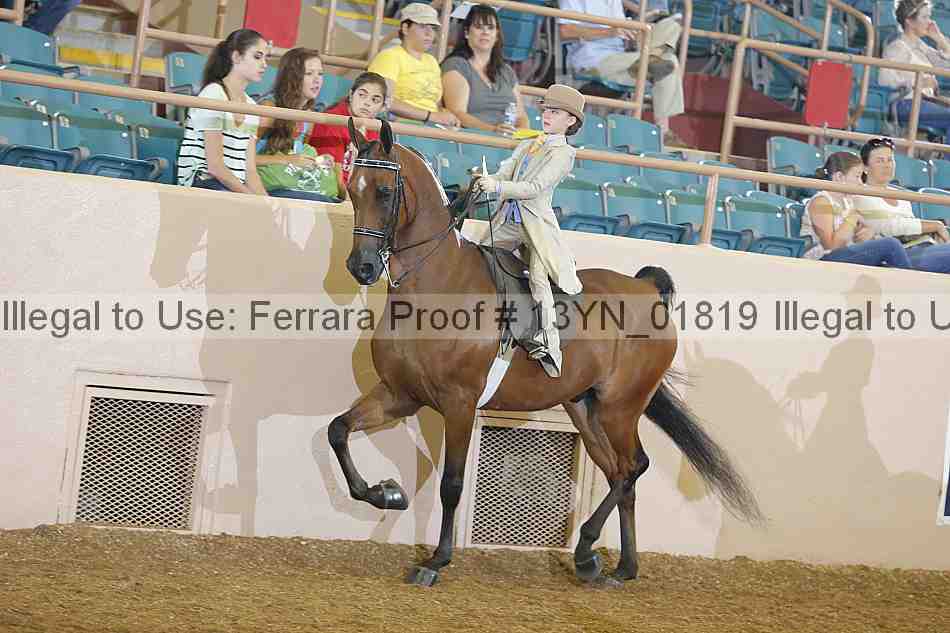 Proof 13yn_01819