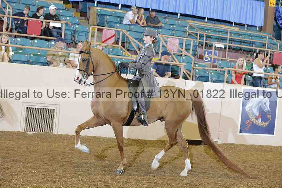 Proof 13yn_01822