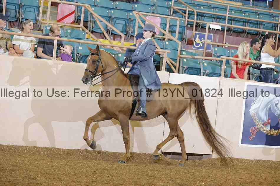 Proof 13yn_01824