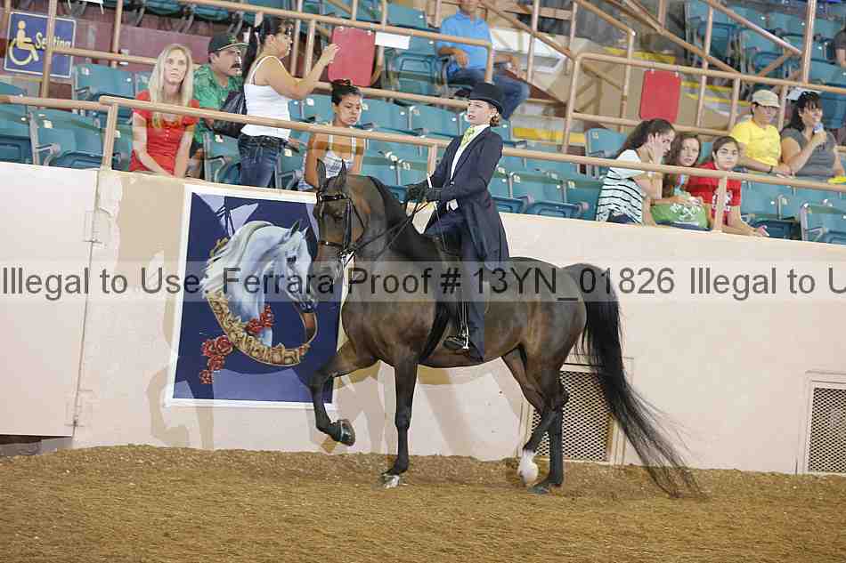Proof 13yn_01826