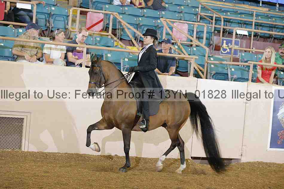 Proof 13yn_01828
