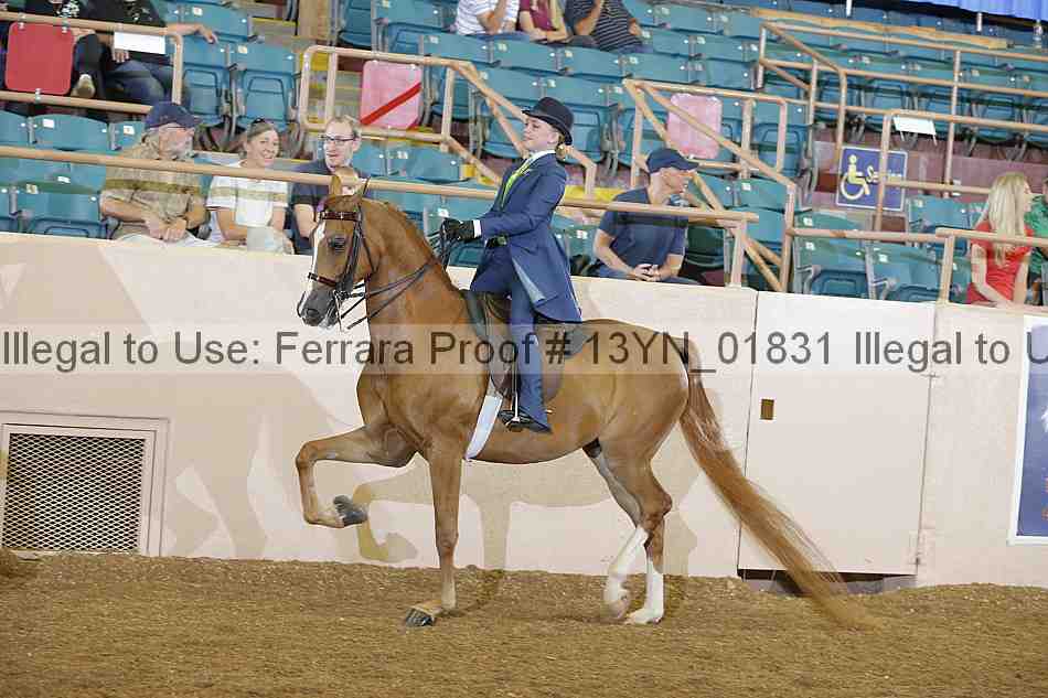 Proof 13yn_01831
