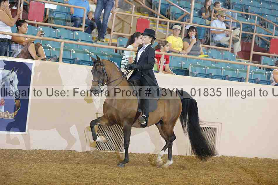 Proof 13yn_01835