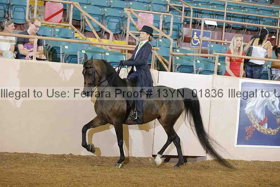 Proof 13yn_01836