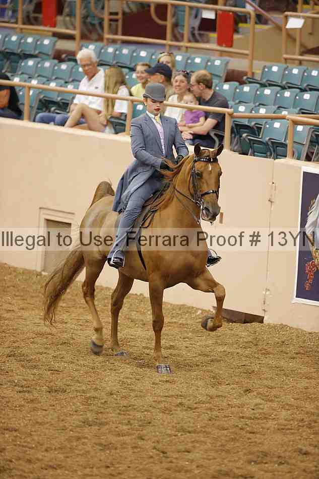 Proof 13yn_01844