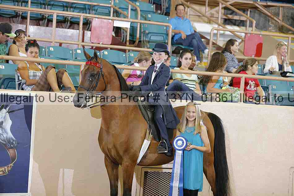 Proof 13yn_01861