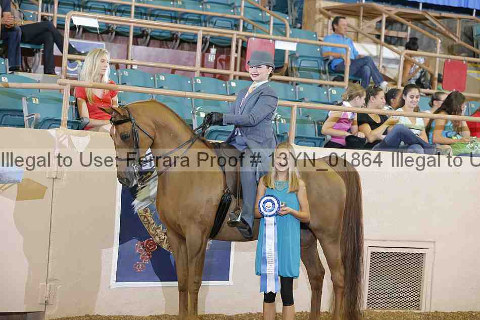 Proof 13yn_01864