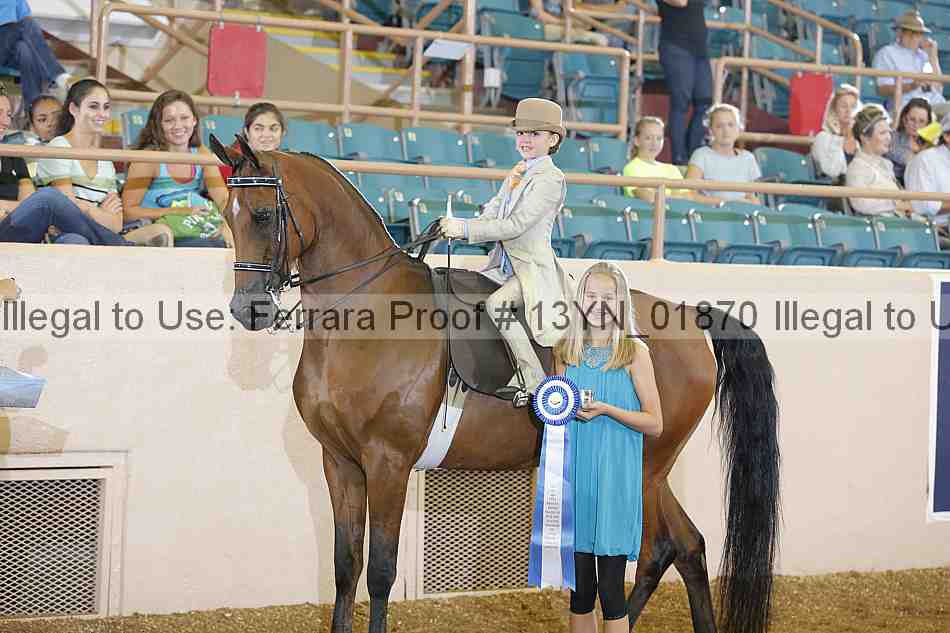 Proof 13yn_01870