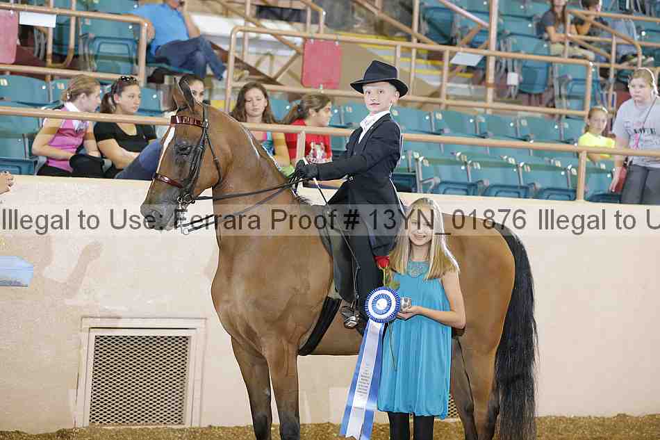 Proof 13yn_01876