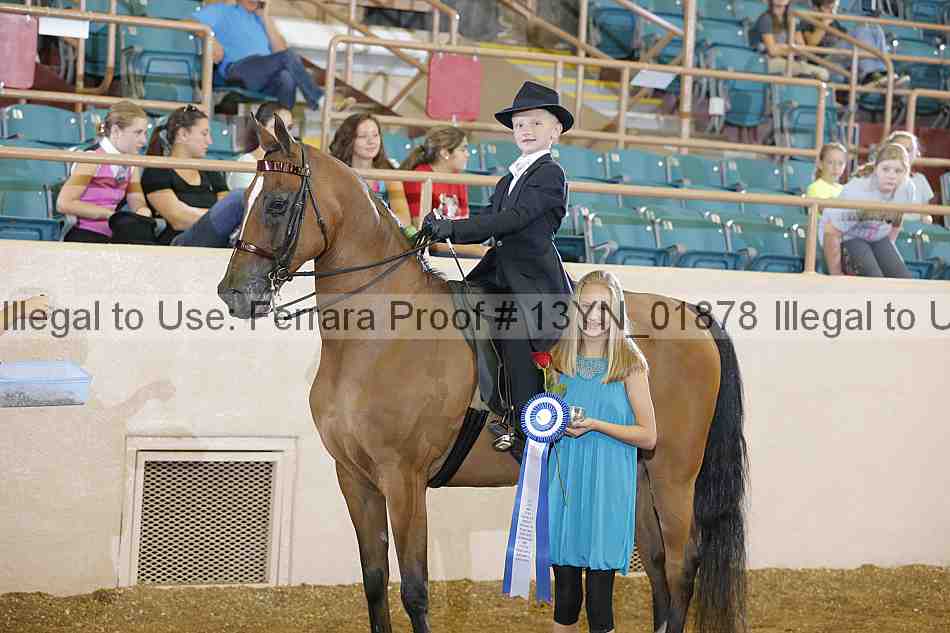 Proof 13yn_01878