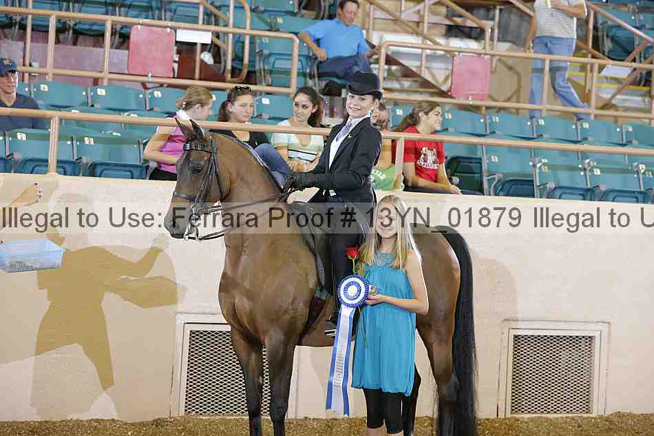 Proof 13yn_01879