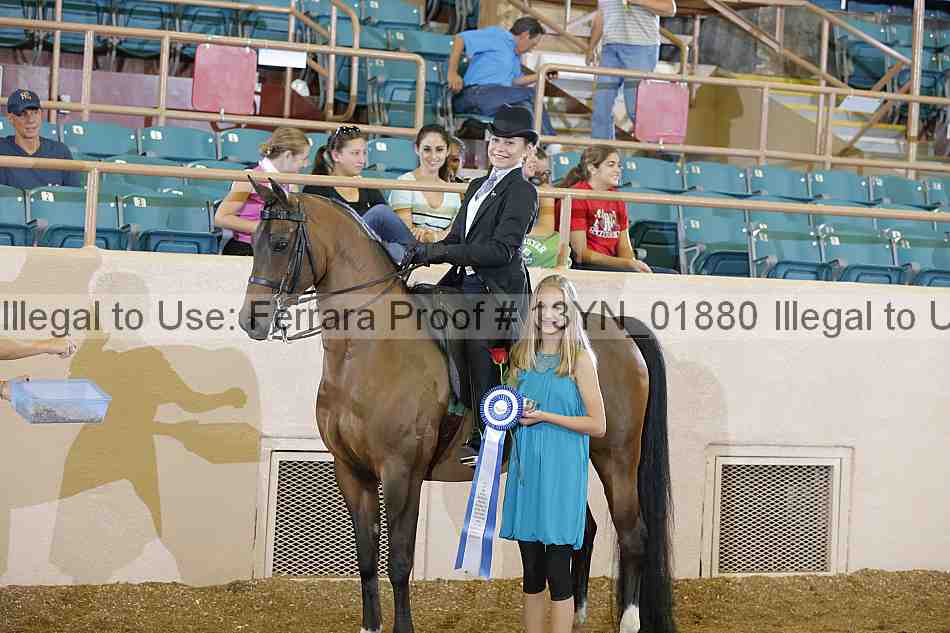 Proof 13yn_01880