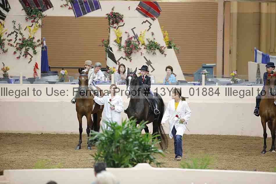 Proof 13yn_01884
