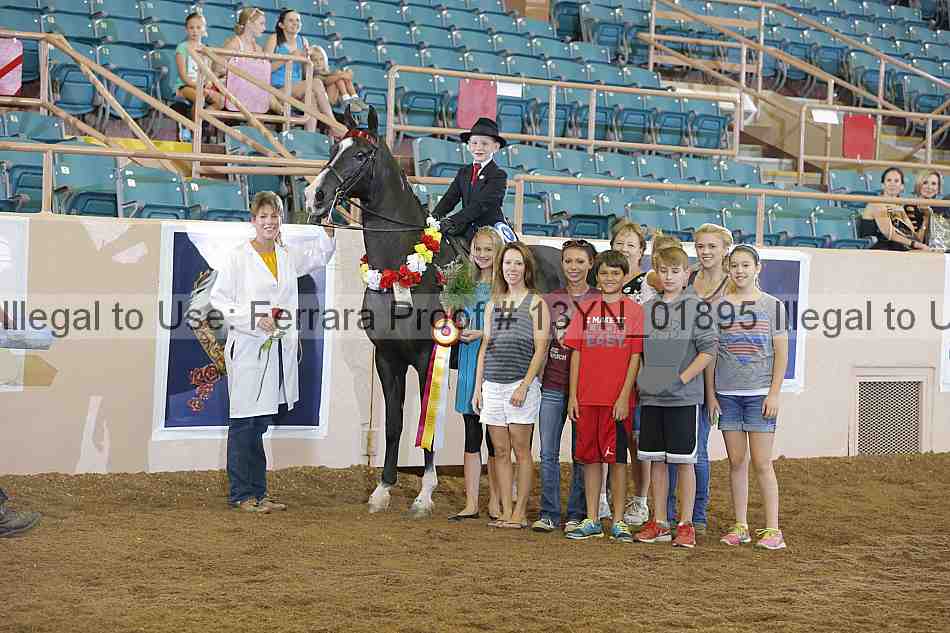Proof 13yn_01895